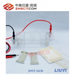 六一 DYCP-31CN/DN/E琼脂糖水平电泳仪